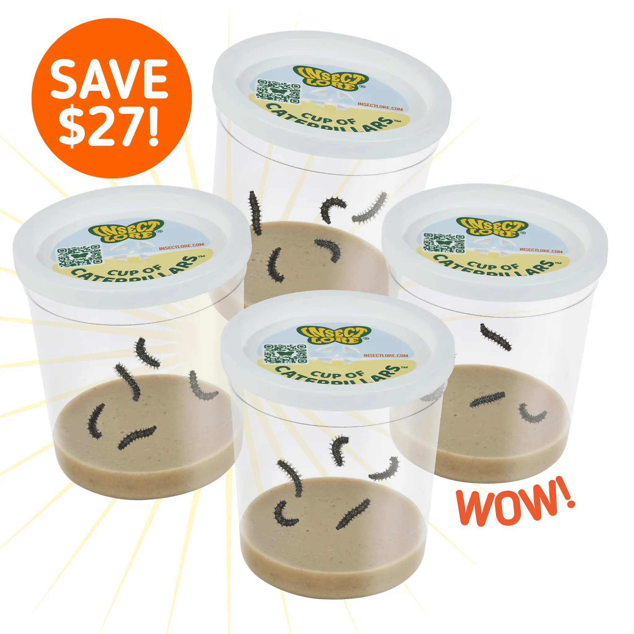 CUP OF CATERPILLARS
